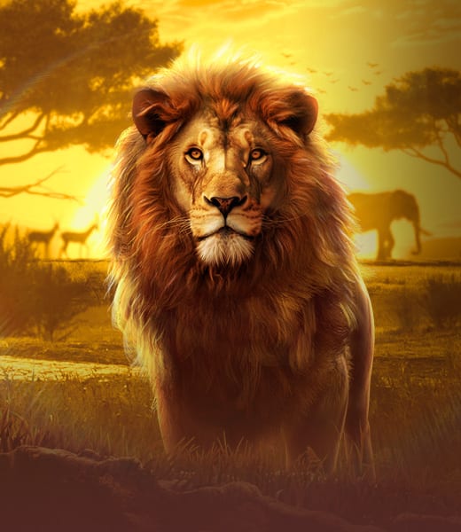 Safari Wilds screenshot