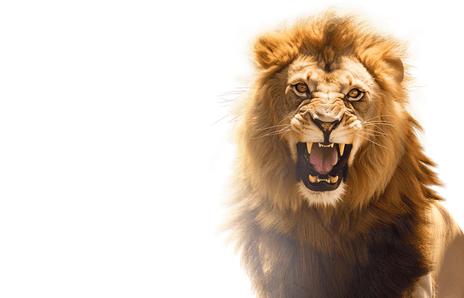 Safari Wilds screenshot
